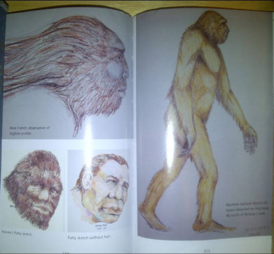 Tribal-Bigfoot-drawings-1.jpg