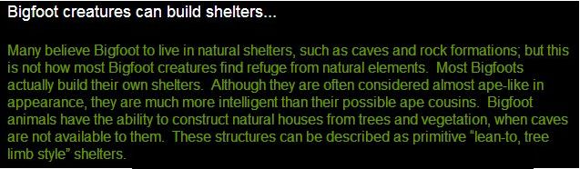 Bigfoot-shelters-lean-to.jpg