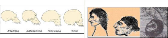 Evolution-change-of-man.jpg