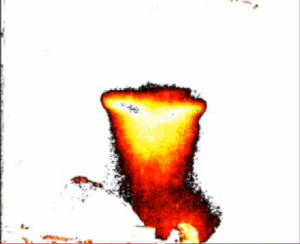 High-Contrast-false-color.jpg