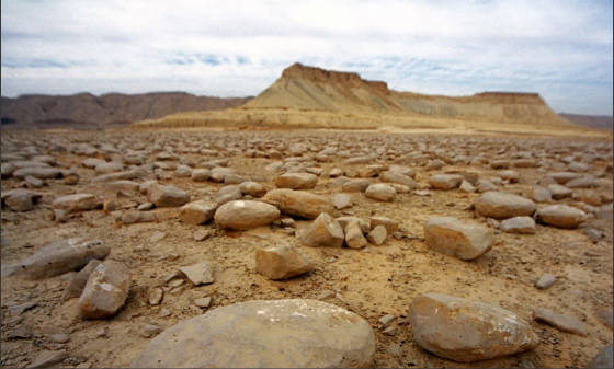 big-boulder-field-mount-Zin-Negev-desert-Israel.jpg