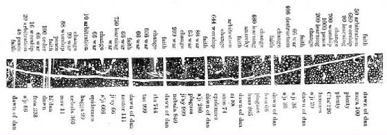 orachnebuahgalah-plate-light-and-dark-bands.jpg