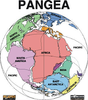 pangea.jpg